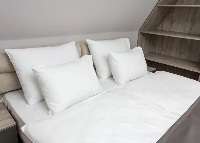 Rusovo Village 别墅